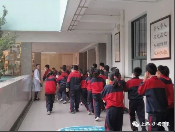 上海市强势崛起的十大公办小学,上海市普陀公办小学对口地区