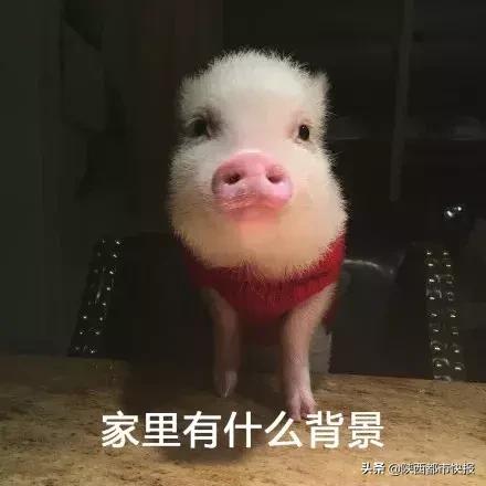 警惕！西安人朋友圈新*局骗**58人被骗上百万！