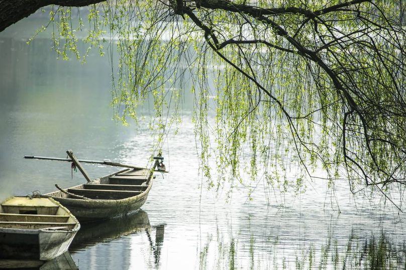 诗词春韵经典诵读,诗词春望古诗