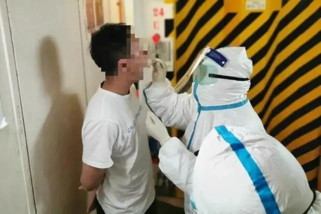 日本钻石公主游轮疫情,钻石公主号和歌诗达赛琳娜号区别