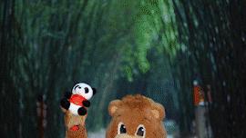 拜仁慕尼黑在安联球场拜年,德国慕尼黑安联球场