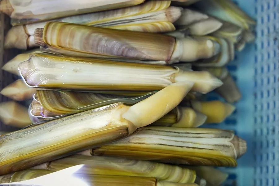 简易龙虾汤泡饭,打边炉花胶鸡汤泡饭做法