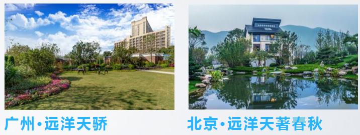 深圳西丽科教城规划,西丽科教城规划