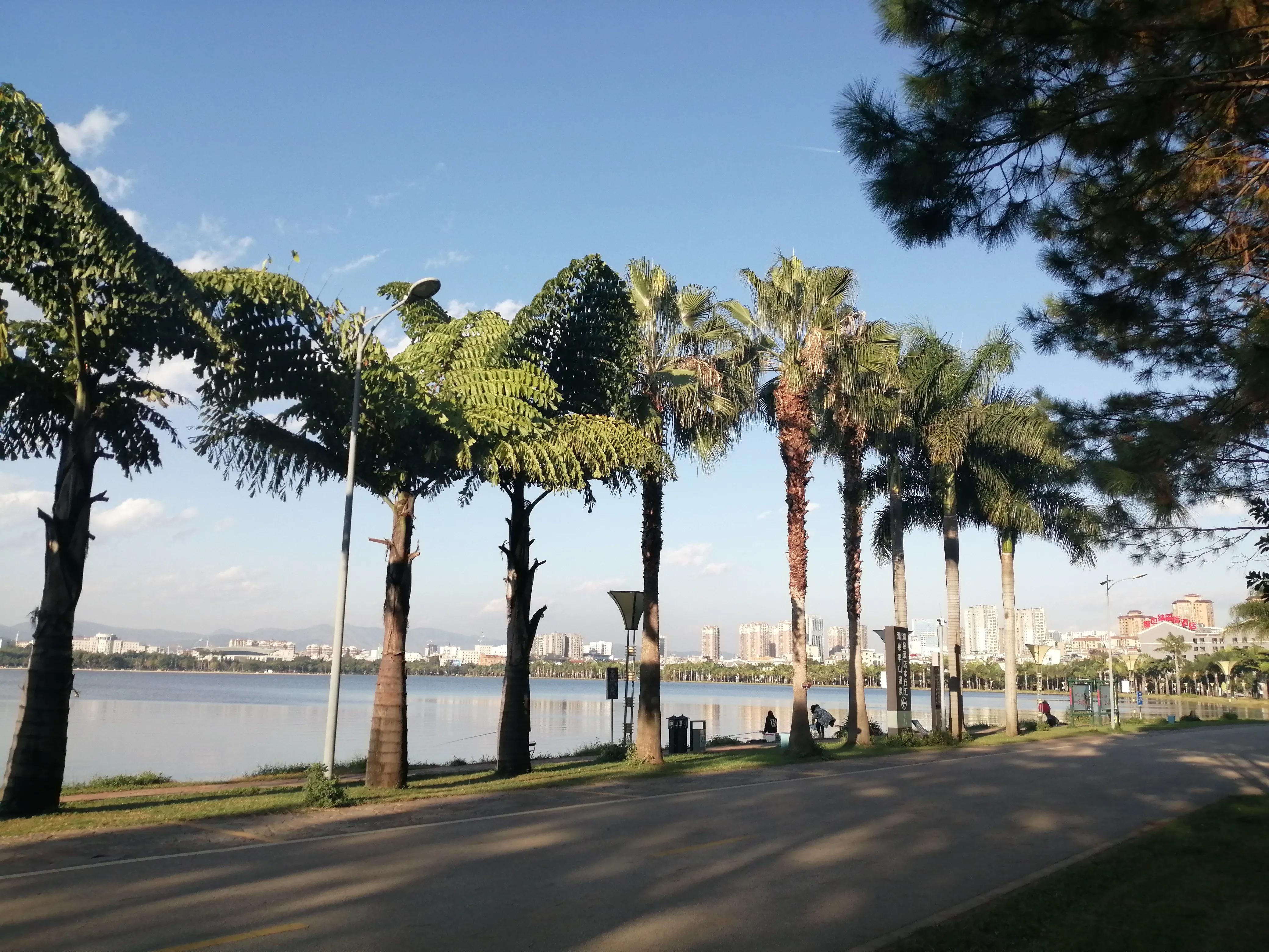 旅居弥勒四月整：尽力就好，人都有无能为力的时候