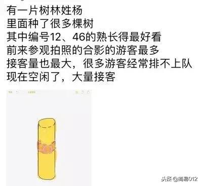 最佳设计师颁奖,年度最佳设计者奖