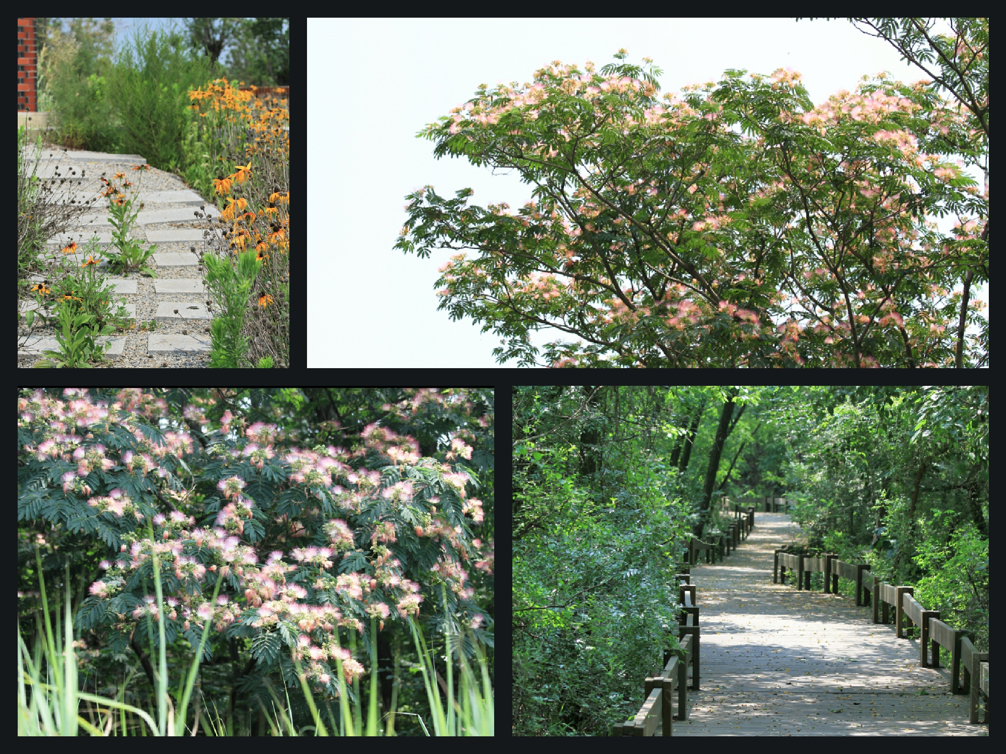 华北第一大海岛,菩提岛历史