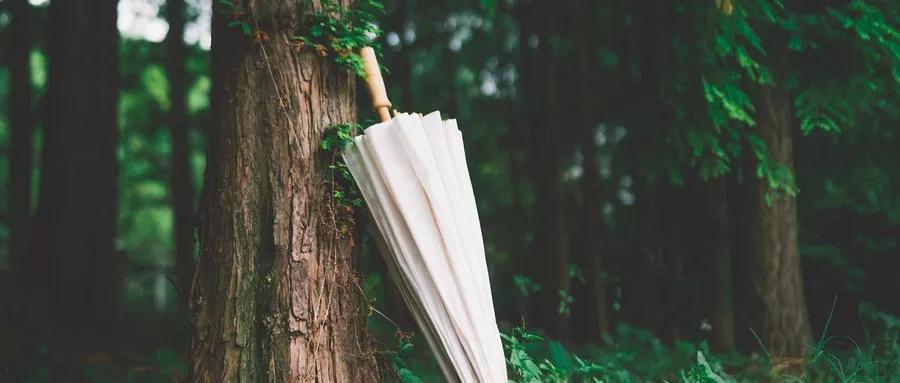 金三银四最佳求职方法,金三银四求职自我介绍