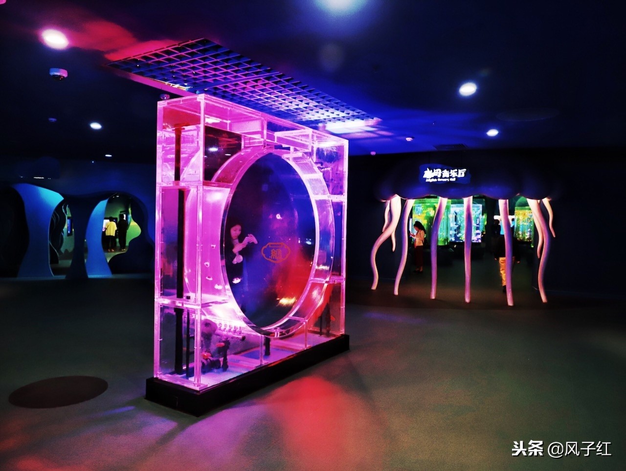 上海新地标丨海昌海洋公园一日游园玩法攻略