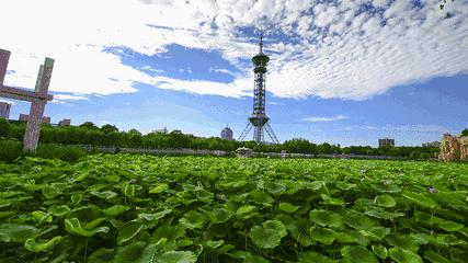 我叫石家庄，这是我2019年最新简历，请多关照！