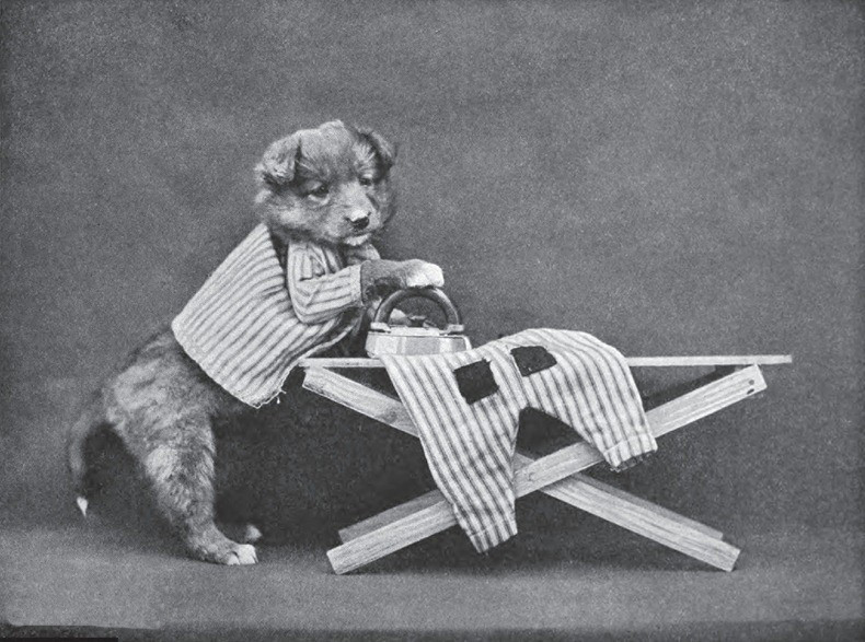 灏忕嫍灏忕尗鍖栬韩浜虹被,灏忕尗灏忕嫍鐢诲