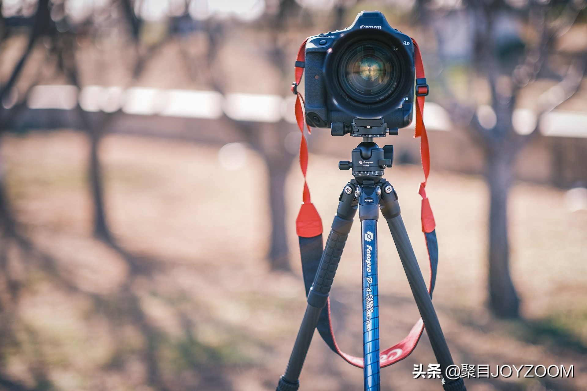 富图宝三脚架推荐,便携三脚架相机测评