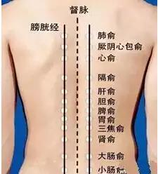 春天寒湿体质如何调理,春天为什么要祛湿