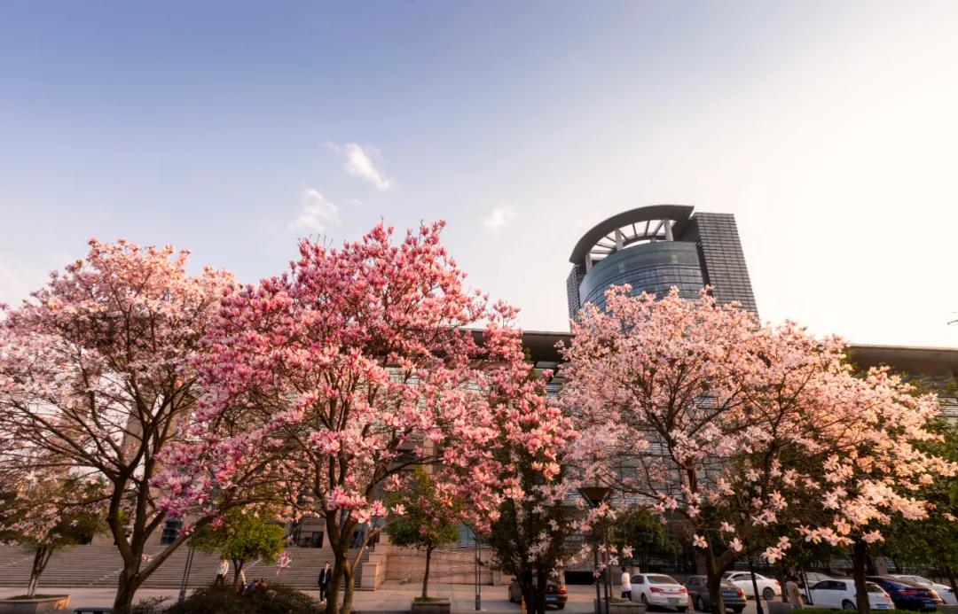 杭州美职学校风景,杭州美丽学校评选