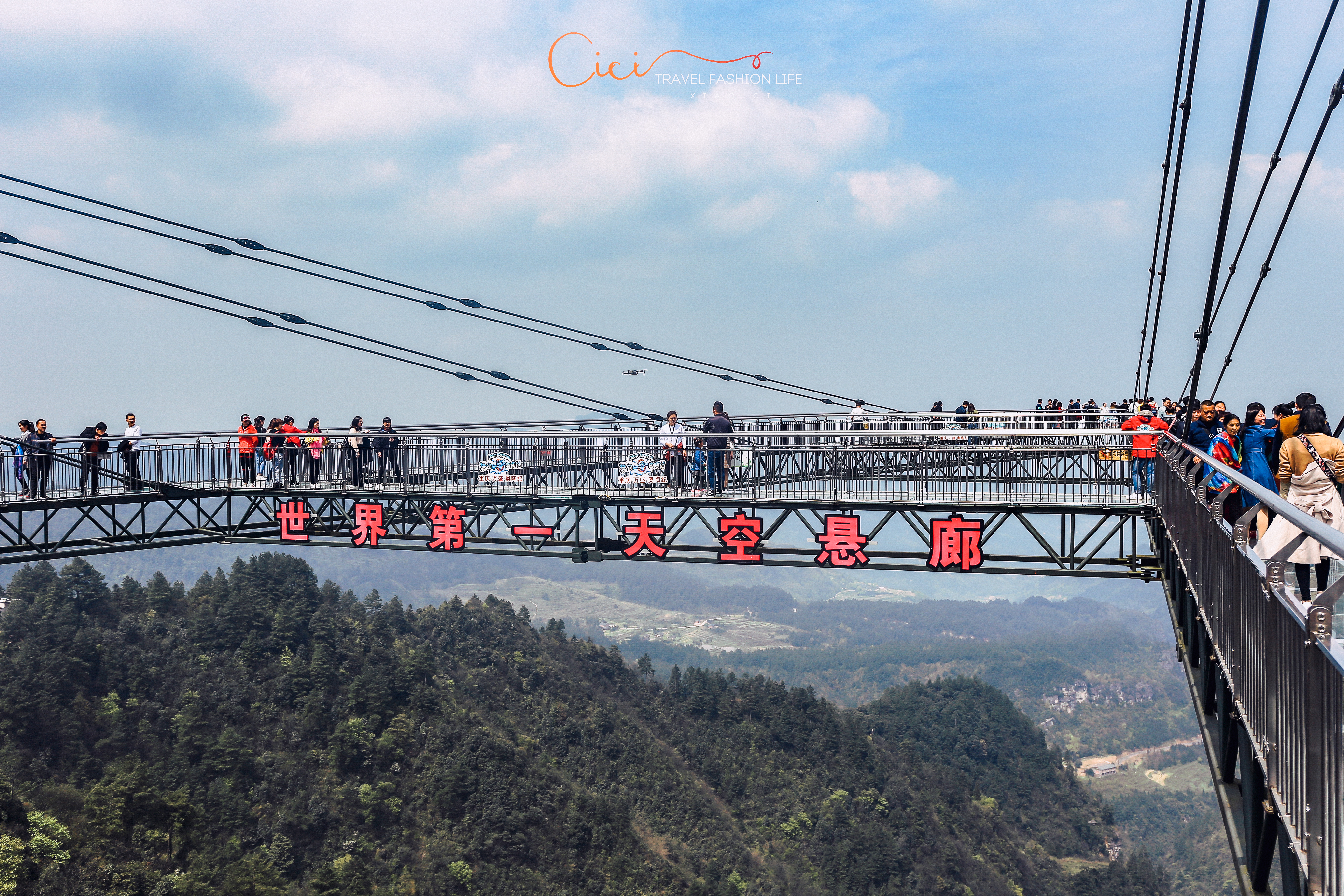 不可思议的奥陶纪