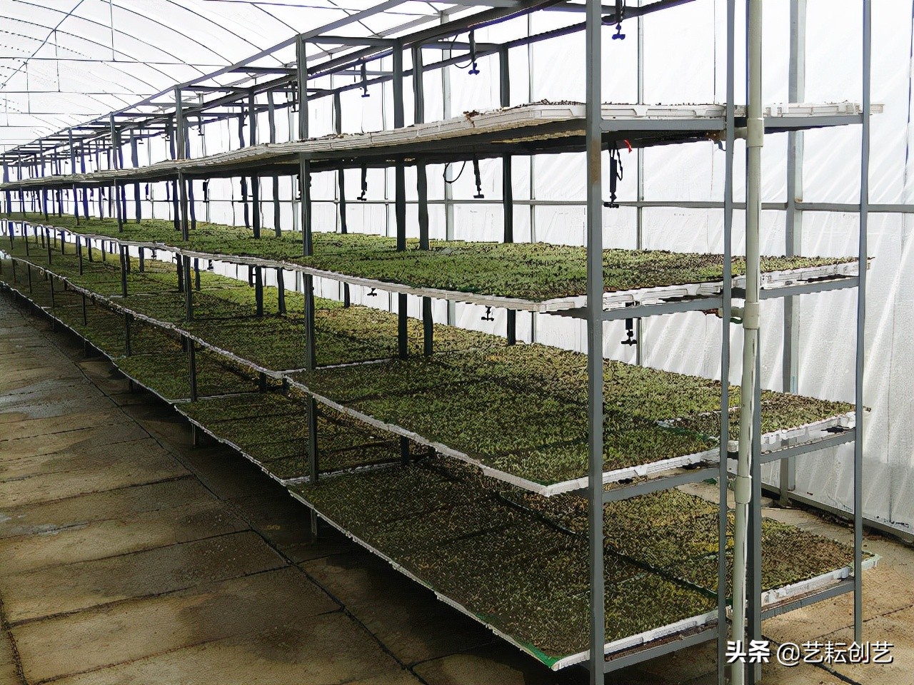 全国农产品地理标志分布地图,全国地理标志农产品