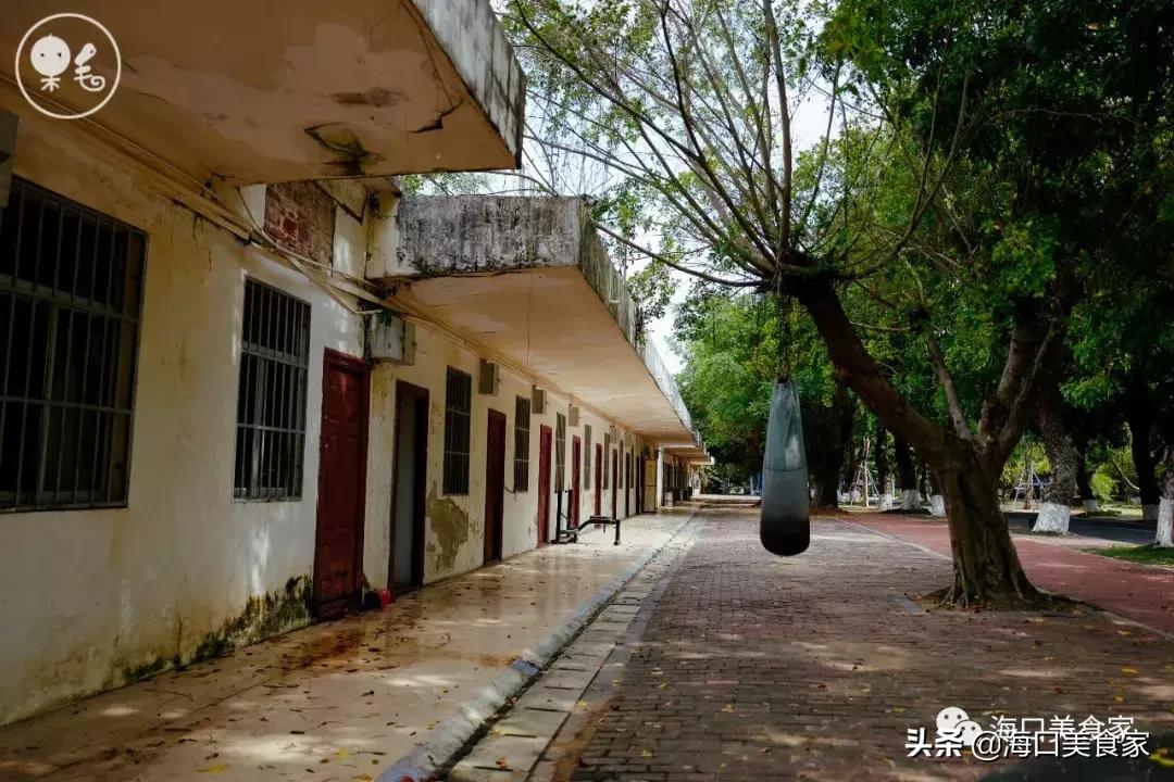 死心吧日语,死心吧