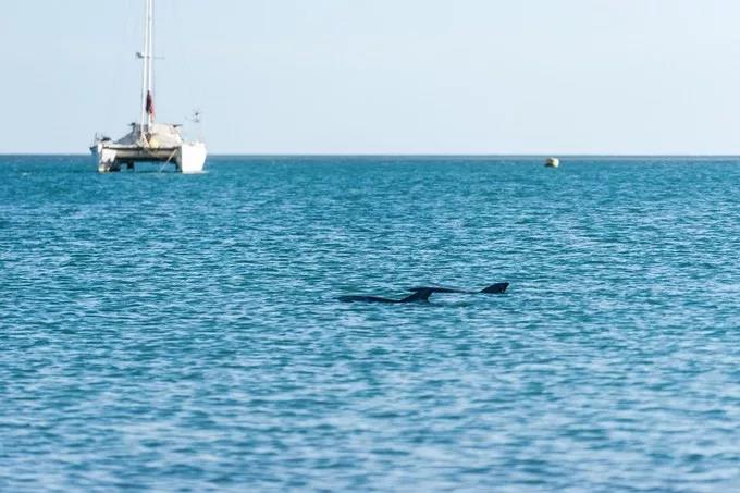 一定要去西澳吗,n个理由