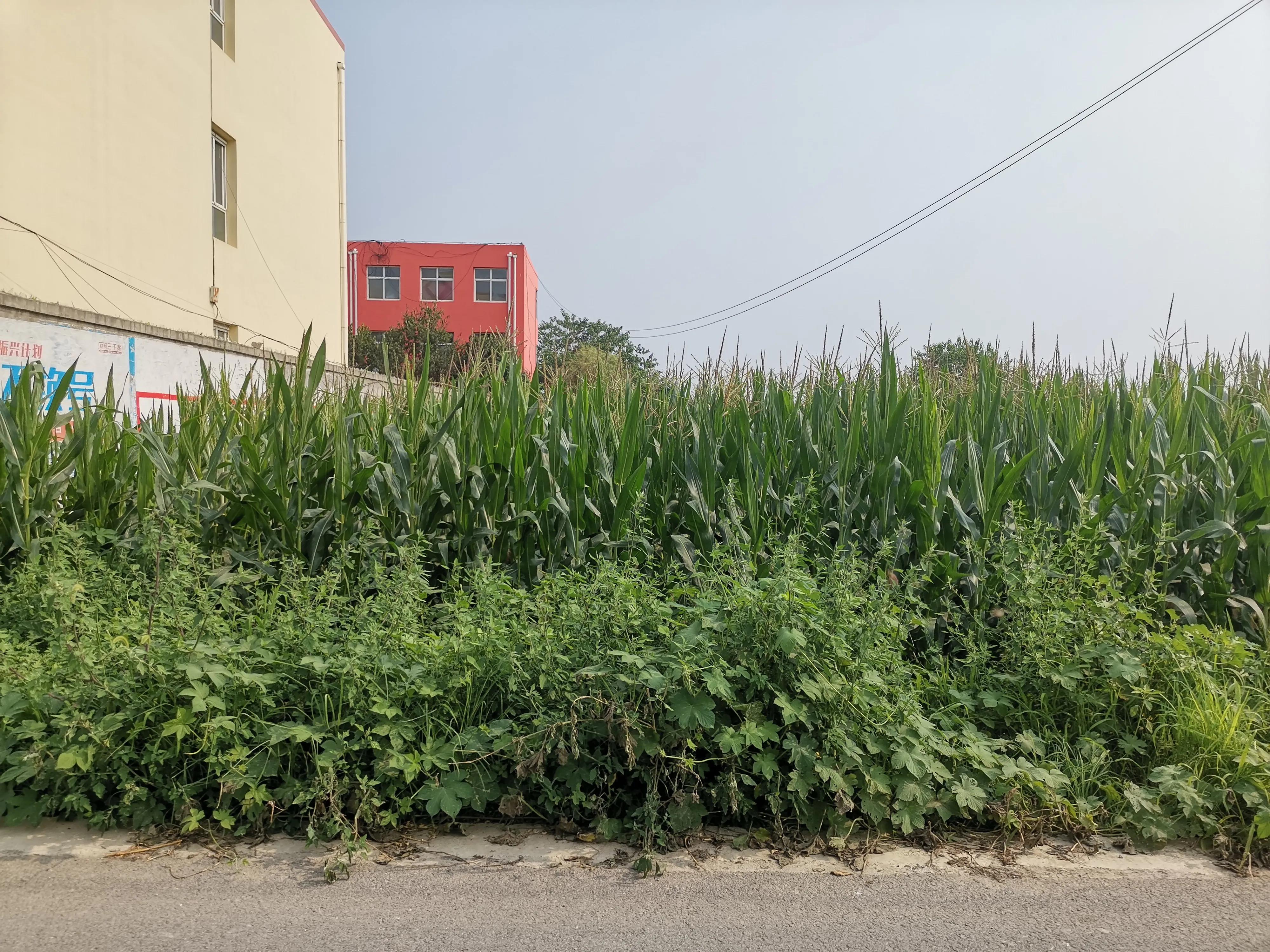 新安县正村一中,正村镇正村一中