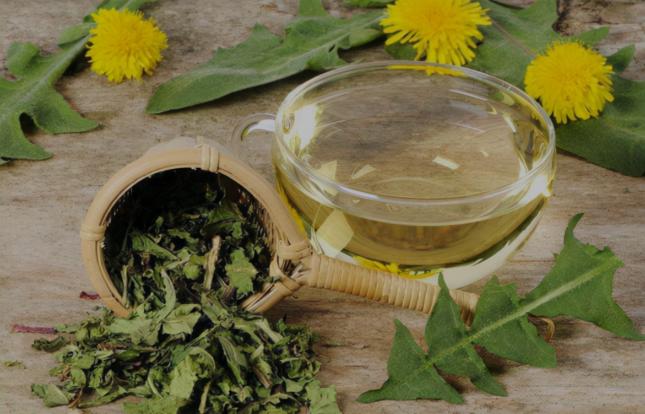 杭州59岁大妈,坚持喝蒲公英水来消散结节,后来身体怎么样了?