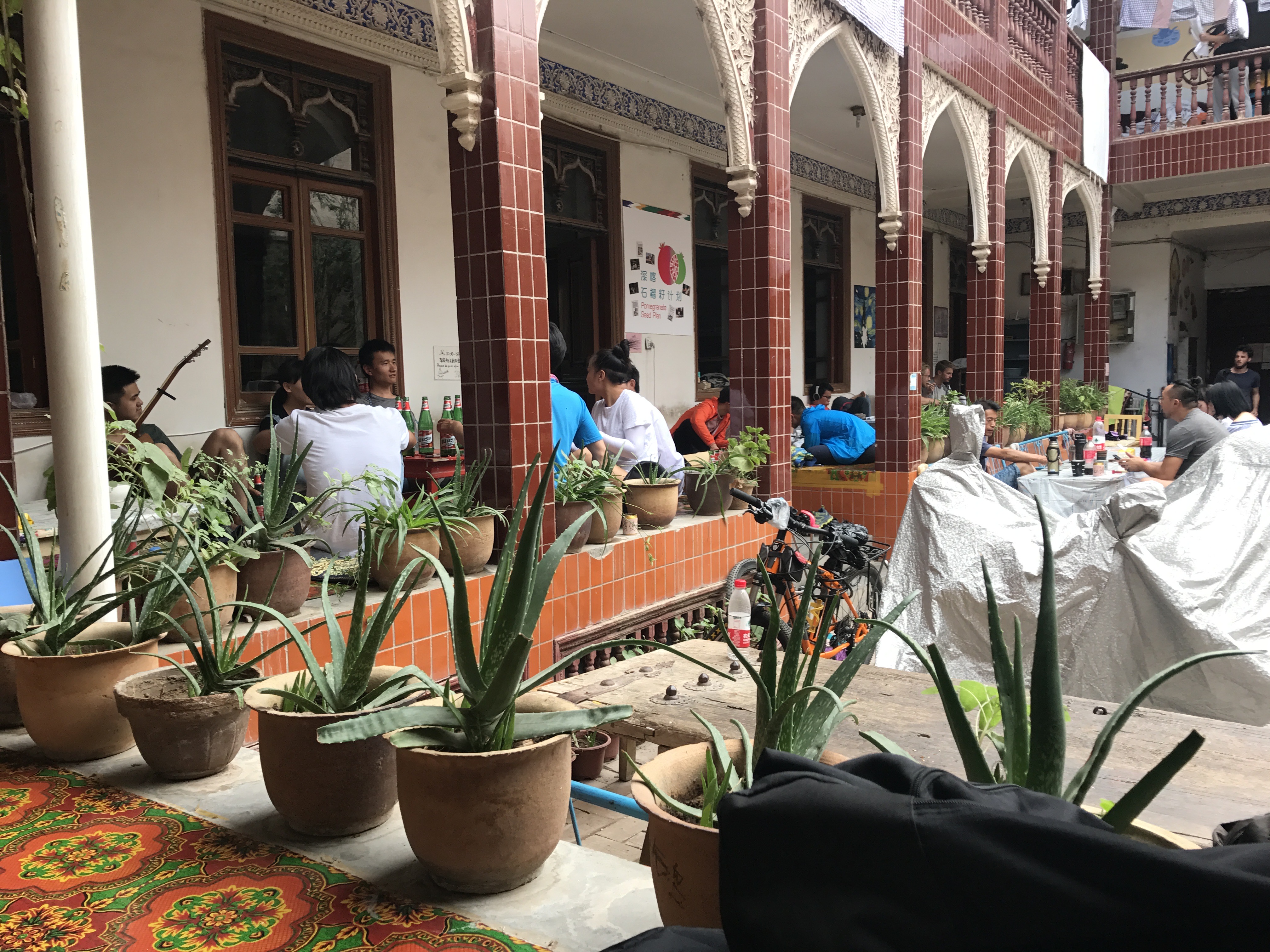 一家三口游西藏新疆,一家三口新疆旅游视频