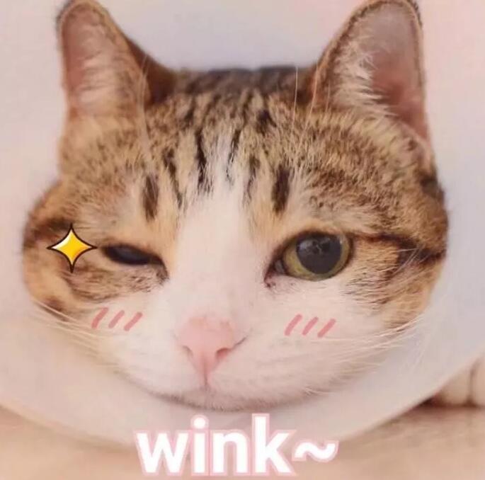 盘点近期最新宝藏好物,不允许你们不知道的宝藏好物