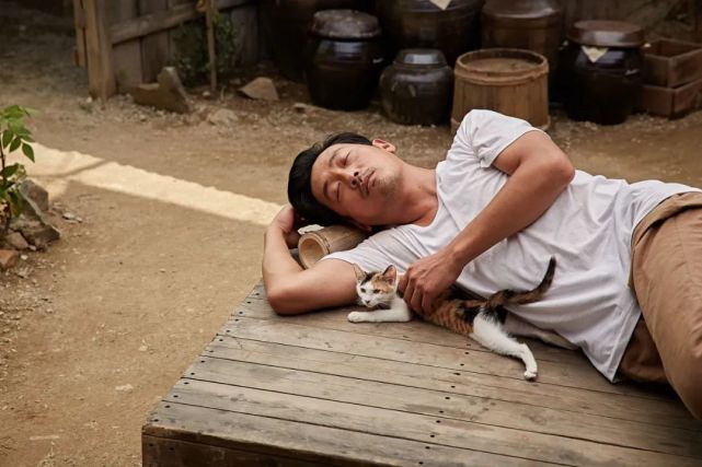 韩国影帝河正宇最新电影,韩国电影河正宇十大巅峰之作