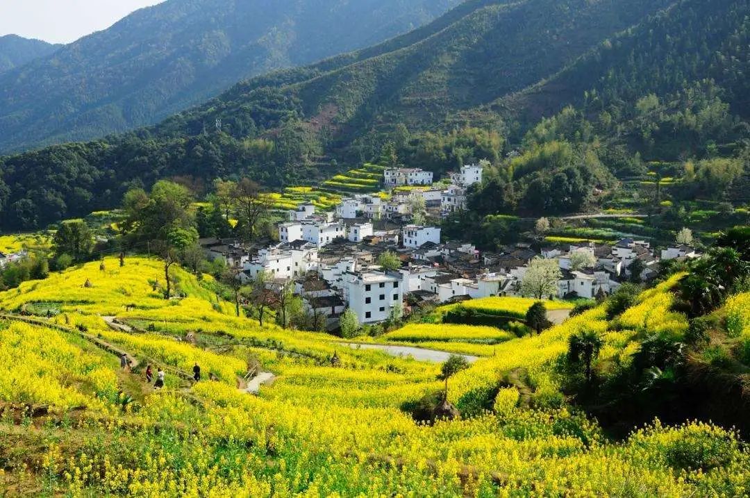 我喜欢去古镇，喜欢它那安详而宁静的气息