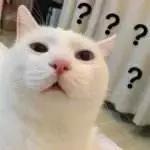 乐敦假货是真的吗,乐敦假货可靠吗