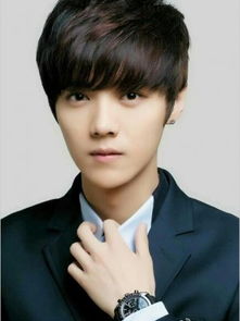 流量明星,实力明星鹿晗