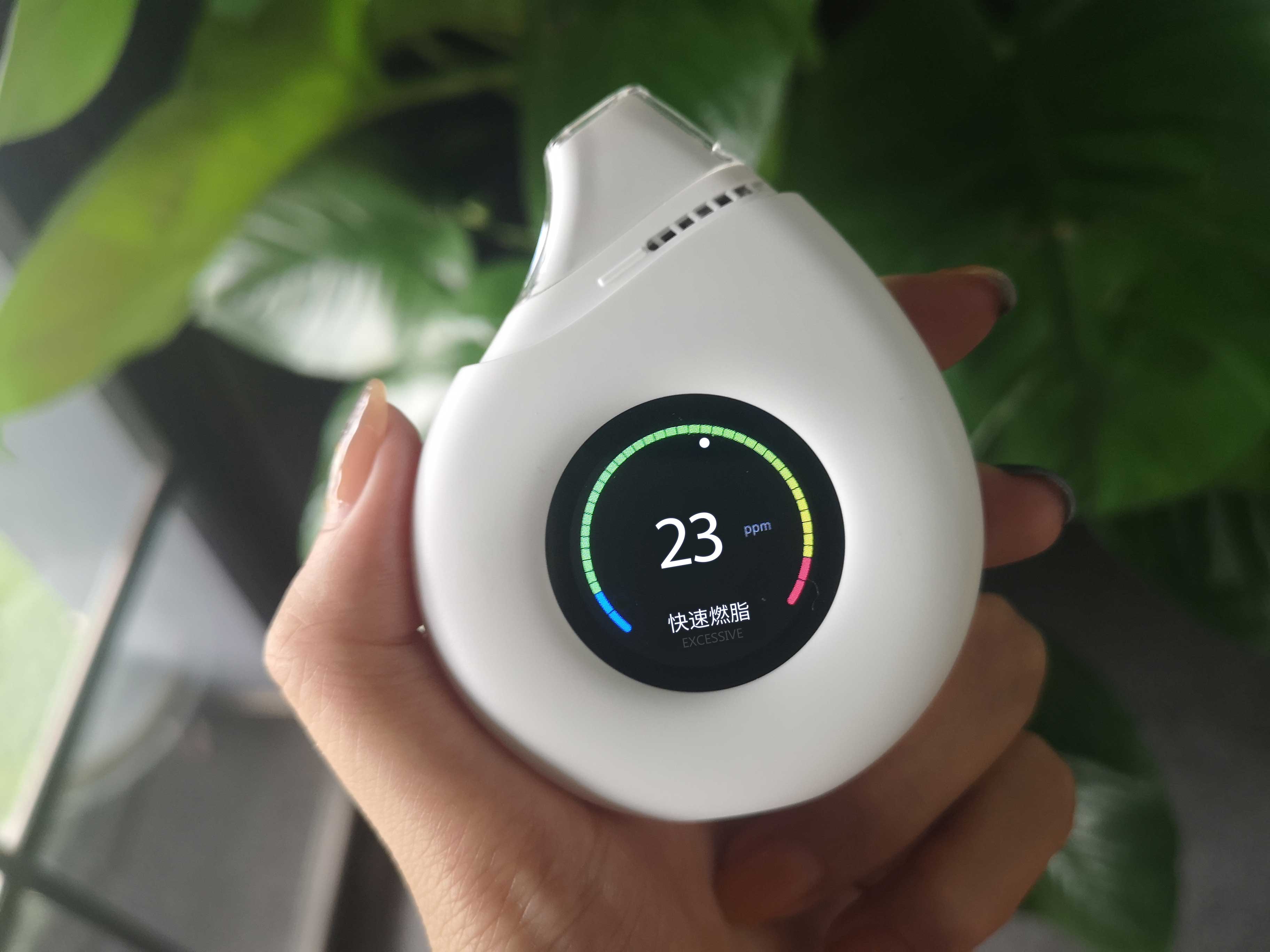 生酮减脂实测第二天,生酮减脂测评