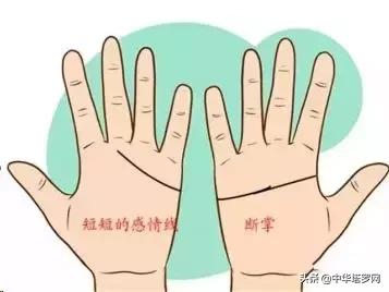 手相之感情线揭露感情的秘密,手相感情线大全图
