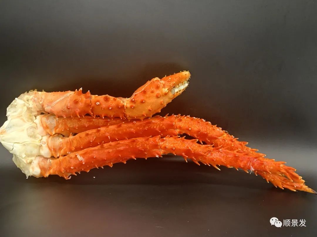 海捕船冻和鲜活船冻区别在哪里,熟冻海鲜跟冷冻海鲜有什么区别