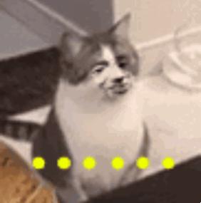 私教课免费教程,健身房私教转课规则