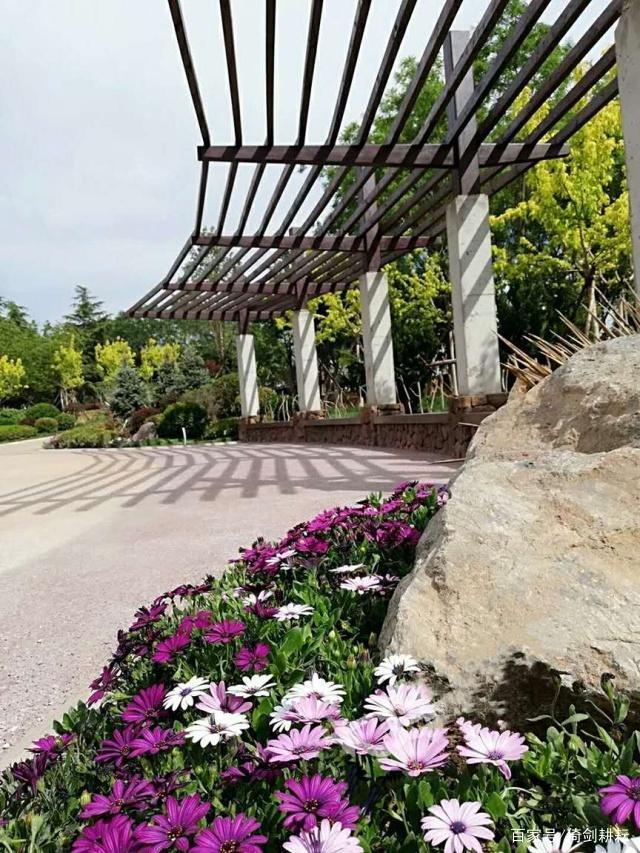 大连梭鱼湾最新规划消息,大连未来梭鱼湾