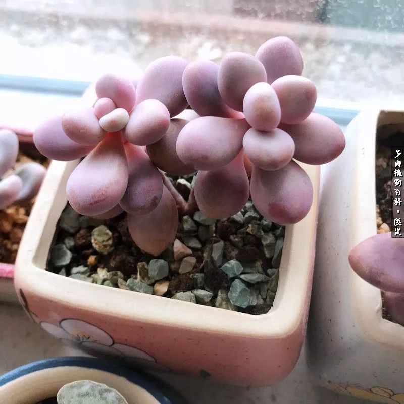 顺风不浪逆风不怂文字图片,顺风不飘逆风不怂绝境不慌