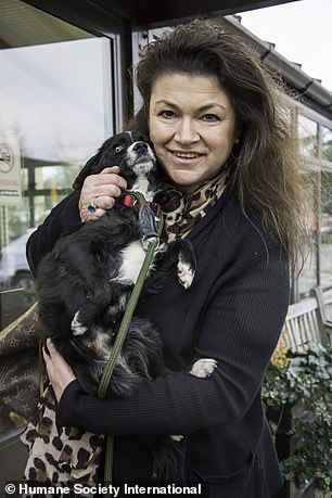 5只中国玉林屠宰场获救犬成功抵达英国伦敦，将陆续找到新家！