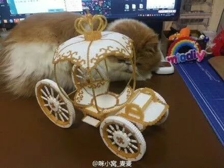 拼豆店需要哪些东西,拼豆去哪里进货