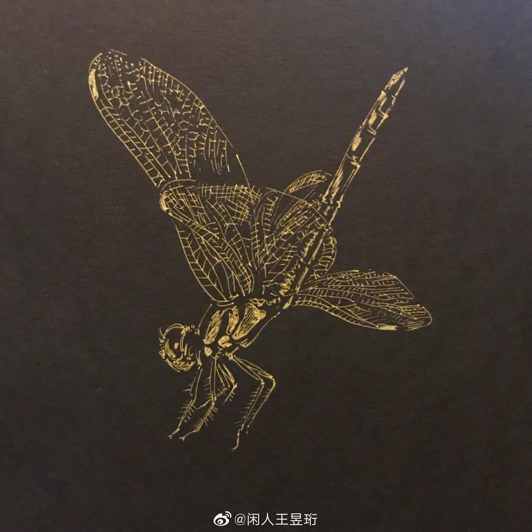 王昱珩上学经历,清华毕业的王昱珩