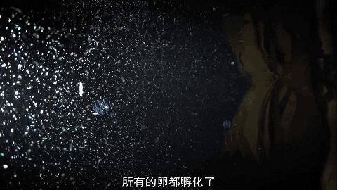 人鱼情未了在线阅读,人鱼情未了电视剧免费观看