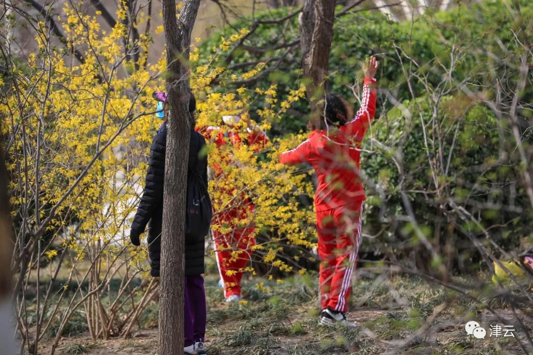 天津2022年四月开放的公园,天津北辰郊野公园现在开放吗