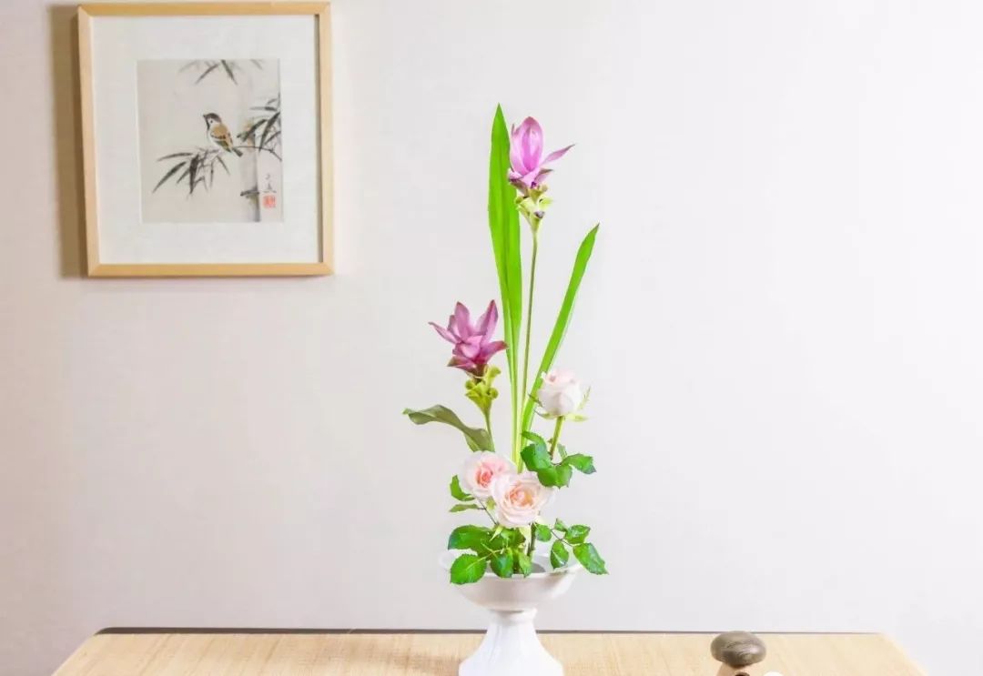 小原流花道国际标准教程,小流源花道入门教程视频