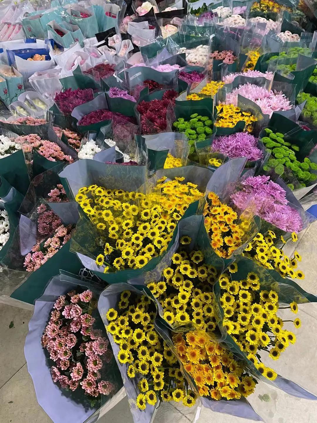 实拍青岛花卉市场！你每年都会选购哪些品种的年宵花呢？