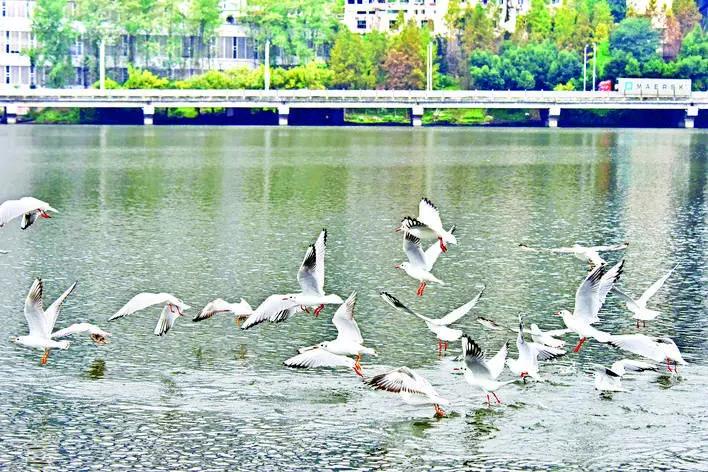 重庆万州未来发展规划,重庆万州区发展前景