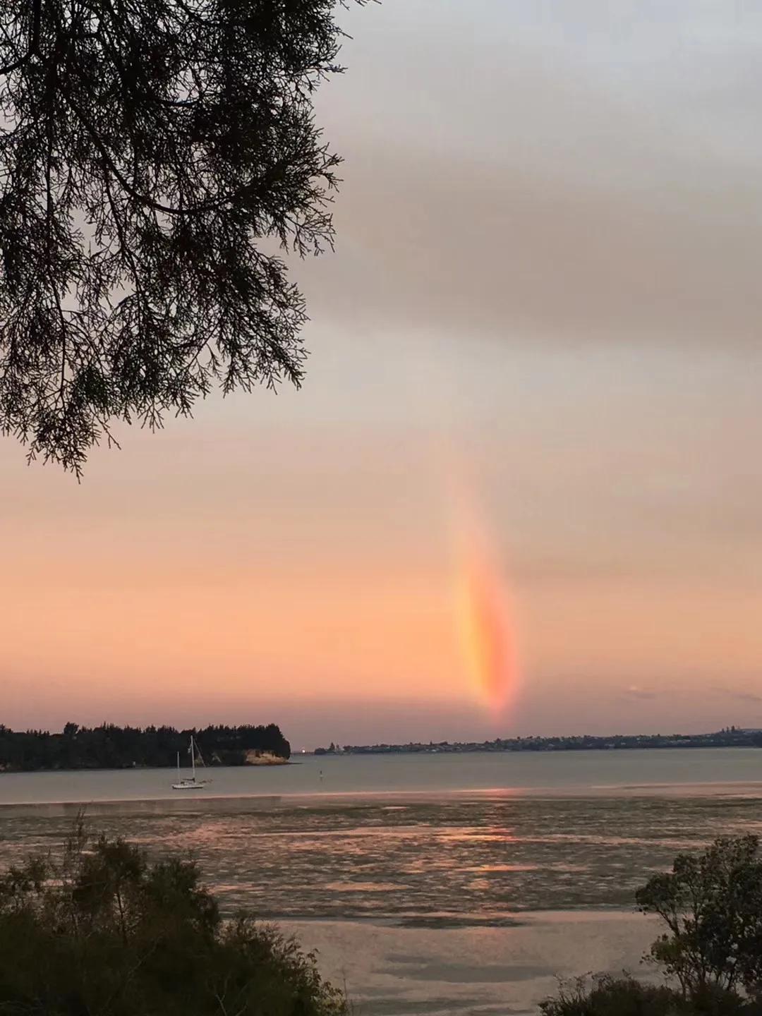记忆中的旅行之新西兰（北岛）