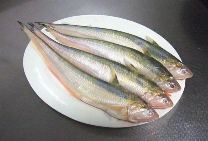 有哪些产地在中国的顶级食材？