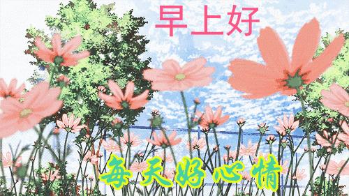 30张动图图片,会动的照片简直绝美