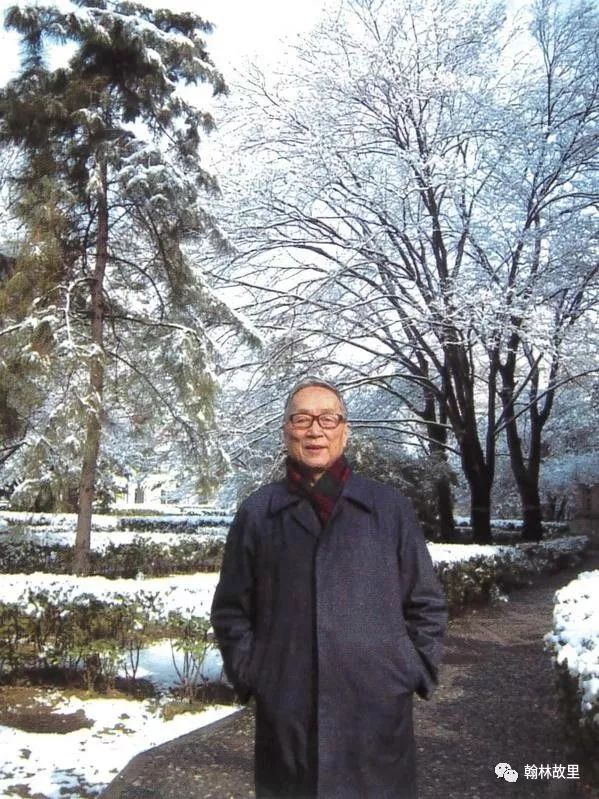 潮州方言詹伯慧,詹伯慧简介