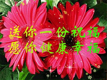 送给群友的美图,最新群相册大全