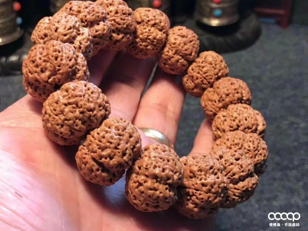 上万一条的药王籽火了后，很多尼泊尔树农大量从中国进药