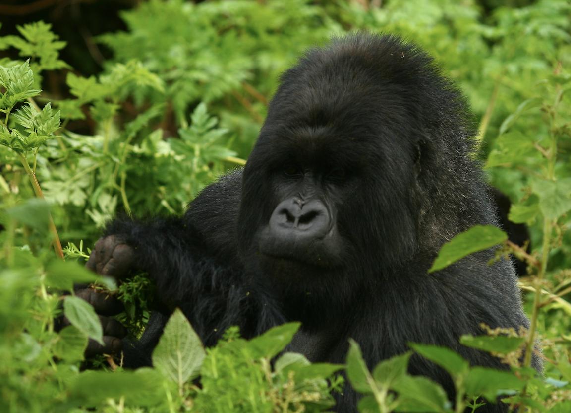 在这个国家1小时就要花掉1万元人民币，国人却排队都排不上